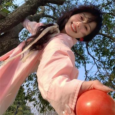 龙牌之谜